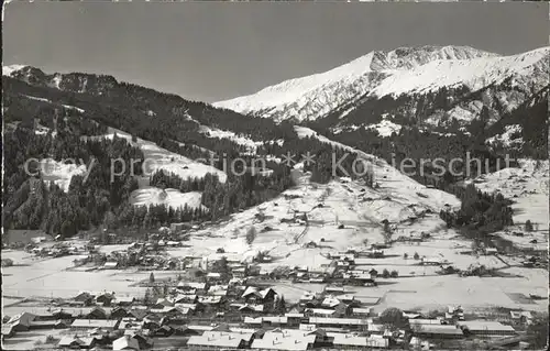 Lenk Simmental mit Muelkerplatte Wistaetthorn Kat. Lenk Simmental