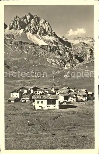 Maloja GR Alp Gravasalvas mit Piz Lagrev Kat. Maloja Graubuenden