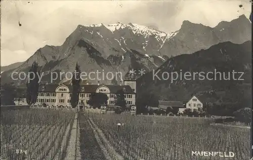 Maienfeld Schloss Alpen Kat. Maienfeld