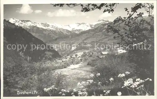 Buchen Praettigau Panorama Alpenflora Gebirge Kat. Buchen Praettigau