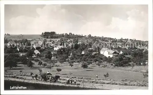 Lottstetten Landwirtschaft  / Lottstetten /Waldshut LKR