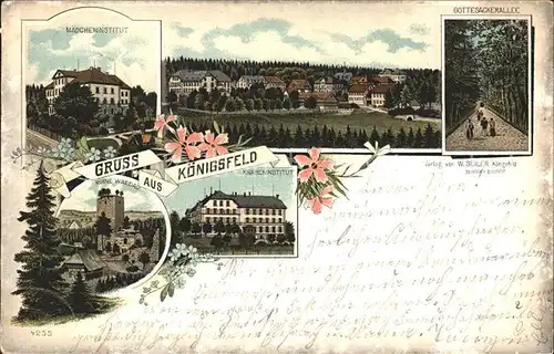 Koenigsfeld Schwarzwald Maedcheninstitut Knabeninstitut Gottesackerallee Litho / Koenigsfeld im Schwarzwald /Schwarzwald-Baar-Kreis LKR