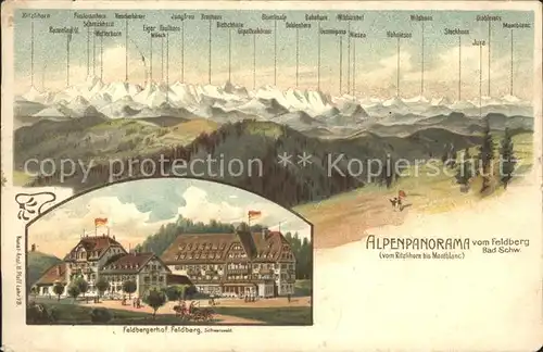 Feldberg Schwarzwald Alpenpanorama Feldbergerhof Litho / Feldberg (Schwarzwald) /Breisgau-Hochschwarzwald LKR