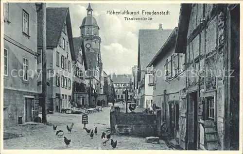 Freudenstadt Traubenstrasse  / Freudenstadt /Freudenstadt LKR