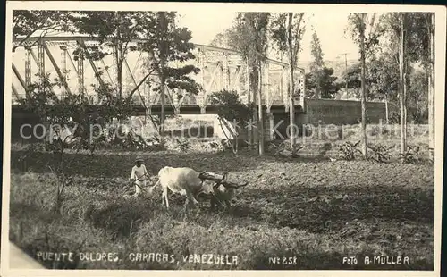 Caracas Puente Dolores  / Caracas /