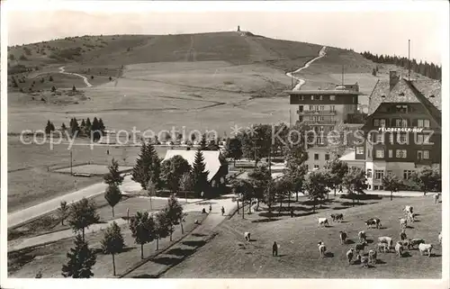 Feldberg Schwarzwald Hotel Feldbergerhof / Feldberg (Schwarzwald) /Breisgau-Hochschwarzwald LKR