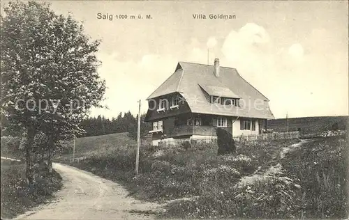 Saig Schwarzwald Villa Goldmann / Lenzkirch /Breisgau-Hochschwarzwald LKR