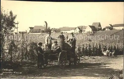 oetlingen Weil Rhein Markgraefler Weinlese / Weil am Rhein /Loerrach LKR