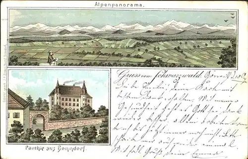 Bonndorf Schwarzwald Alpenpanorama Schloss / Bonndorf /Waldshut LKR