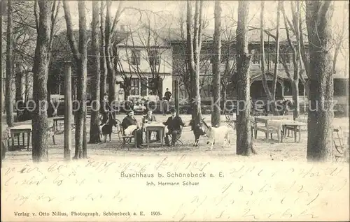 Schoenebeck Elbe Buschhaus / Schoenebeck /Salzlandkreis LKR