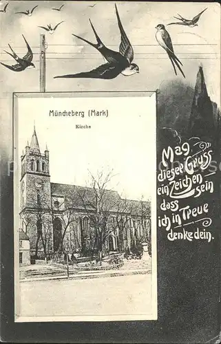 Muencheberg Kirche Schwalben / Muencheberg /Maerkisch-Oderland LKR