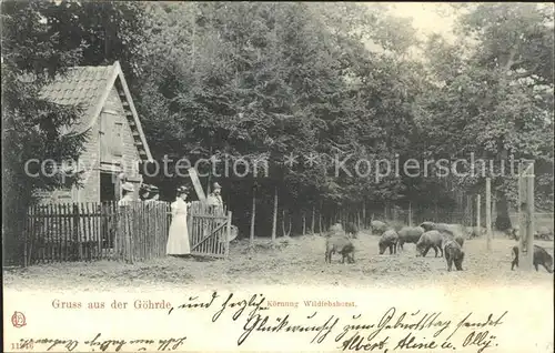 Goehrde Wildiebshorst / Goehrde /Luechow-Dannenberg LKR