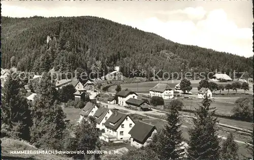 Hammereisenbach-Bregenbach Dorf / Voehrenbach /Schwarzwald-Baar-Kreis LKR