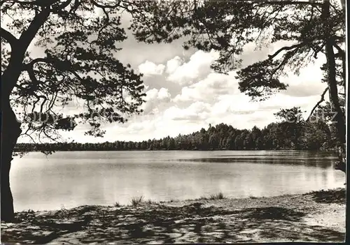 Rotenburg Wuemme Am Bullensee Kat. Rotenburg (Wuemme)