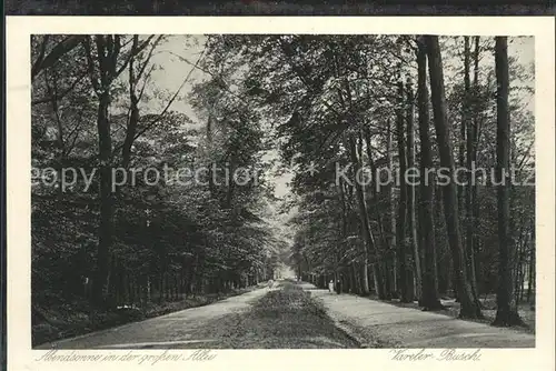 Varel Jadebusen Grosse Allee Kat. Varel