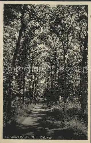 Varel Jadebusen Waldweg Kat. Varel