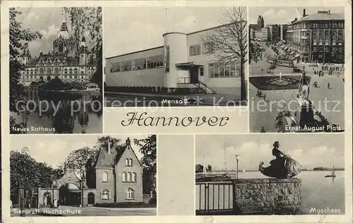 Hannover Neues Rathaus Tieraerztliche Hochschule Machsee Kat. Hannover