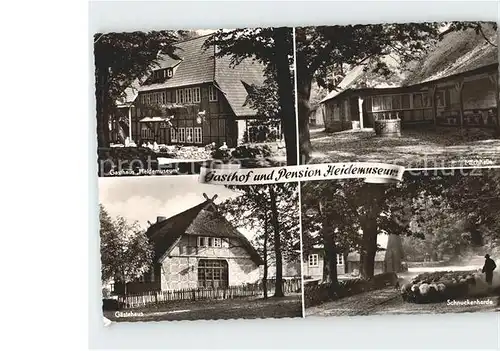 Wilsede Lueneburger Heide Gasthaus und Pension Heidemuseum  Milchmuehle Schnuckenherde  / Bispingen /Soltau-Fallingbostel LKR