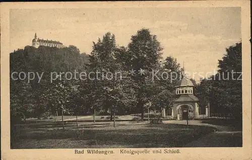 Bad Wildungen Koenigsquelle und Schloss Kat. Bad Wildungen