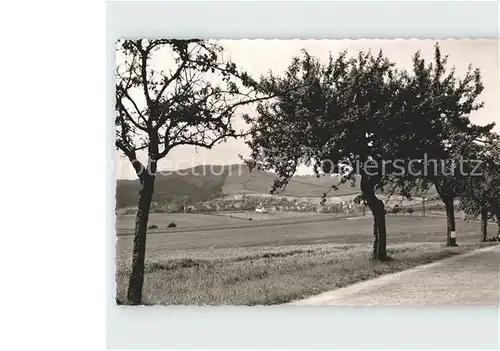 Holenberg Panorama Kat. Holenberg