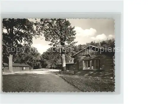 Stadtoldendorf Jugendwaldheim 25 Eichen  Kat. Stadtoldendorf