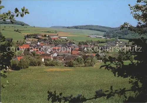 Frohnhausen Gladenbach Totalansicht Kat. Gladenbach