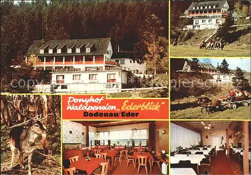 Dodenau Ponyhof Waldpension Ederblick Gastraeume Hirsch Kat. Battenberg (Eder)