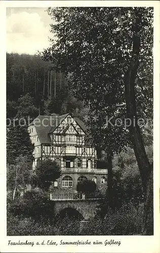 Frankenberg Eder Sommerfrische zum Gossberg Kat. Frankenberg (Eder)