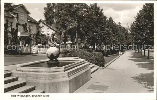 Bad Wildungen Brunnen  Allee Kat. Bad Wildungen