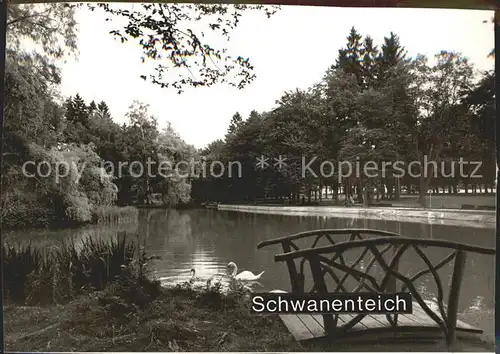 Reinhardshausen Schwanenteich  Kat. Bad Wildungen