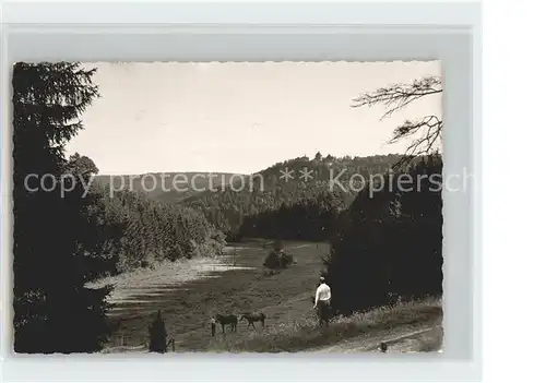 Dalwigksthal Blick zur Burg Kat. Lichtenfels