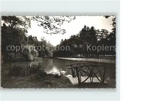 Reinhardshausen Schwanenteich Holzbruecke Kat. Bad Wildungen