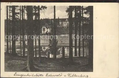 Neustadt Sachsen Heilstaette Hohwald Hauptgebaeude Chefarzthaus  Kat. Neustadt Sachsen