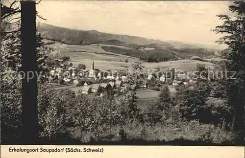 Saupsdorf  Kat. Kirnitzschtal