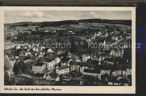 Sebnitz Stadt der kuenstlichen Blumen Kat. Sebnitz