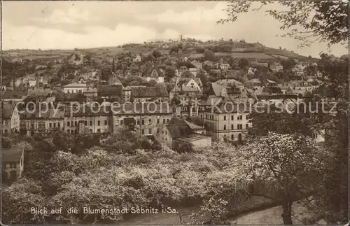 Sebnitz Blick auf die Blumenstadt Trinks Postkarte Kat. Sebnitz