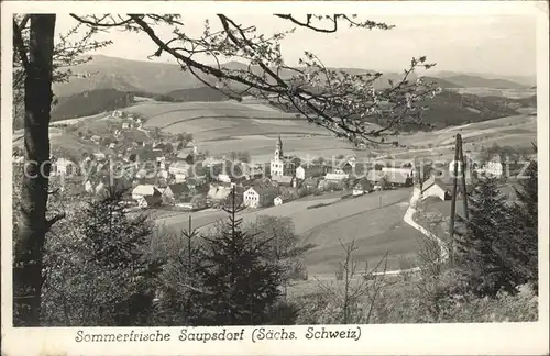 Saupsdorf Panorama Sommerfrische Kat. Kirnitzschtal