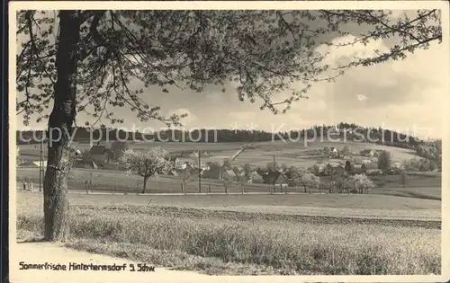 Hinterhermsdorf Panorama Sommerfrische Kat. Sebnitz