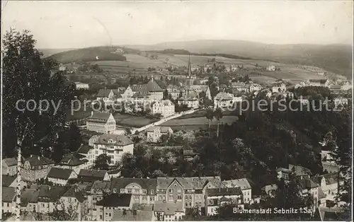 Sebnitz Panorama Blumenstadt Trinks Postkarte Kat. Sebnitz