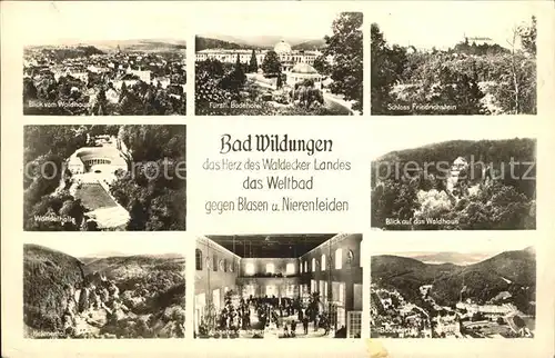 Bad Wildungen Schloss Friedrichstein Waldhaus Wandelhalle  Kat. Bad Wildungen