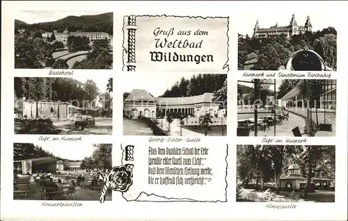 Bad Wildungen Kurpark Sanatorium Fuerstenhof Koenigsquelle Konzertpavillon  Kat. Bad Wildungen