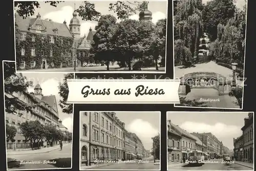 Riesa Sachsen Rathaus Stadtpark Ernst Thaelmann Strasse Pestalozzi Schule  Kat. Riesa