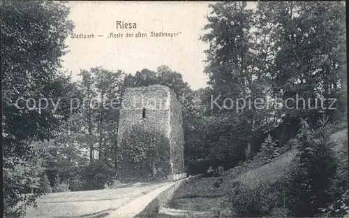 Riesa Sachsen Stadtpark Reste Stadtmauer Kat. Riesa