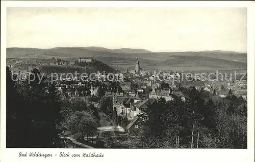 Bad Wildungen Panorama Blick vom Waldhaus Kat. Bad Wildungen