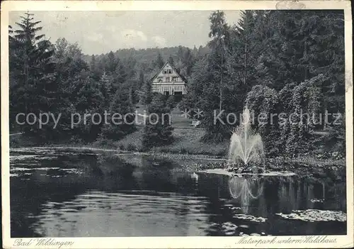 Bad Wildungen Naturpark unterm Waldhaus Teich Kat. Bad Wildungen