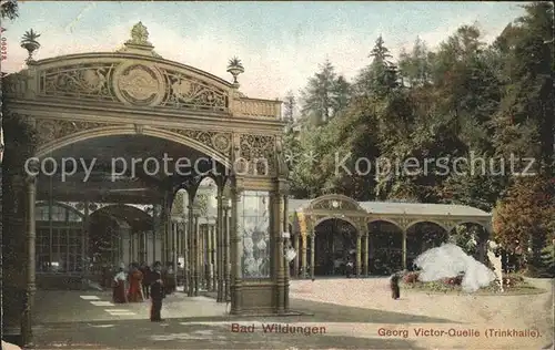 Bad Wildungen Georg Viktor Quelle Trinkhalle Kat. Bad Wildungen