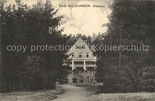 Bad Wildungen Waldhaus Kat. Bad Wildungen