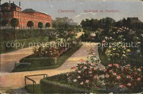 Chemnitz Rosarium im Stadtpark Kat. Chemnitz