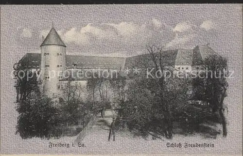 Freiberg Sachsen Schloss Freudenstein Kat. Freiberg