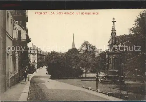 Freiberg Sachsen Hornstrasse mit Hornbrunnen Kat. Freiberg